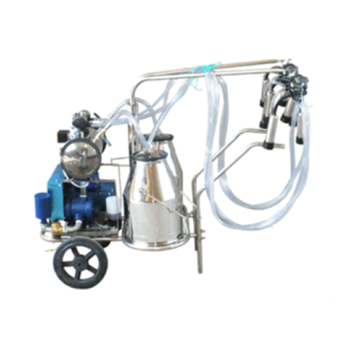 máy vắt sữa bò